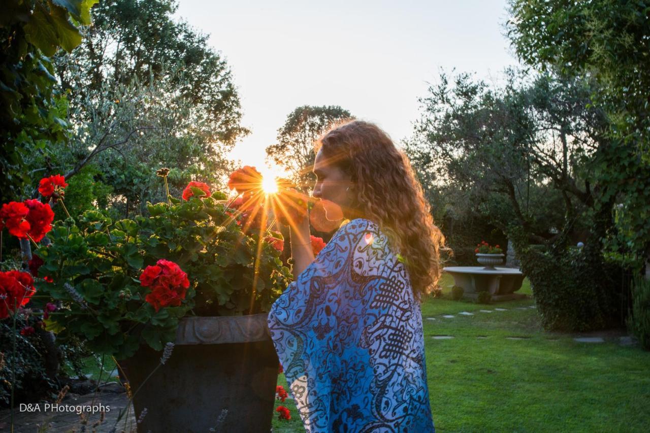 Piccolo Feudo Green Resort (Adults Only) Viterbo Bagian luar foto